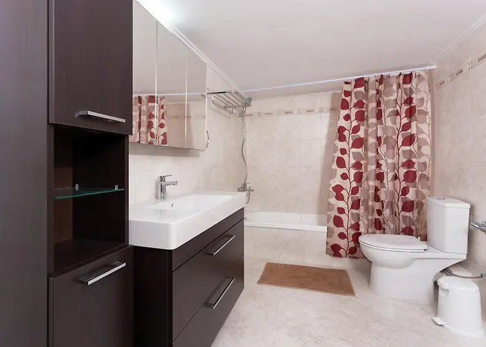 公寓 Zia Zante 拉加纳斯