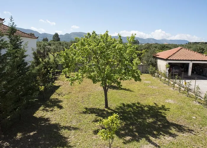 Zia Zante Appartement